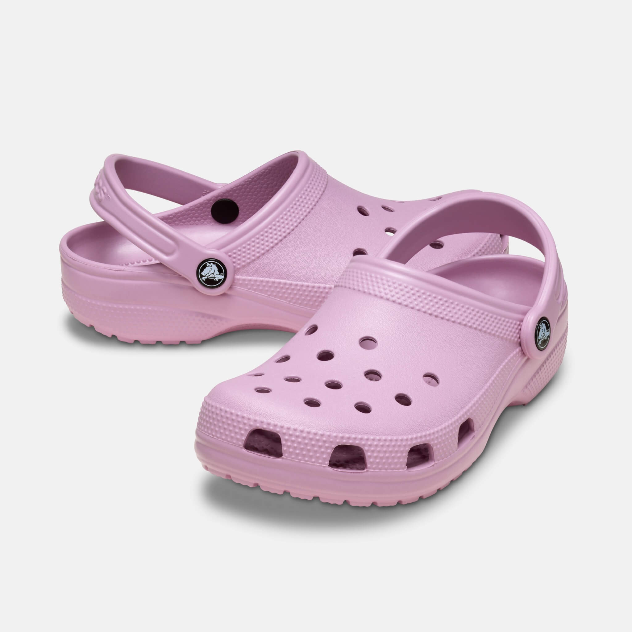 Classic Clog Hydrangea