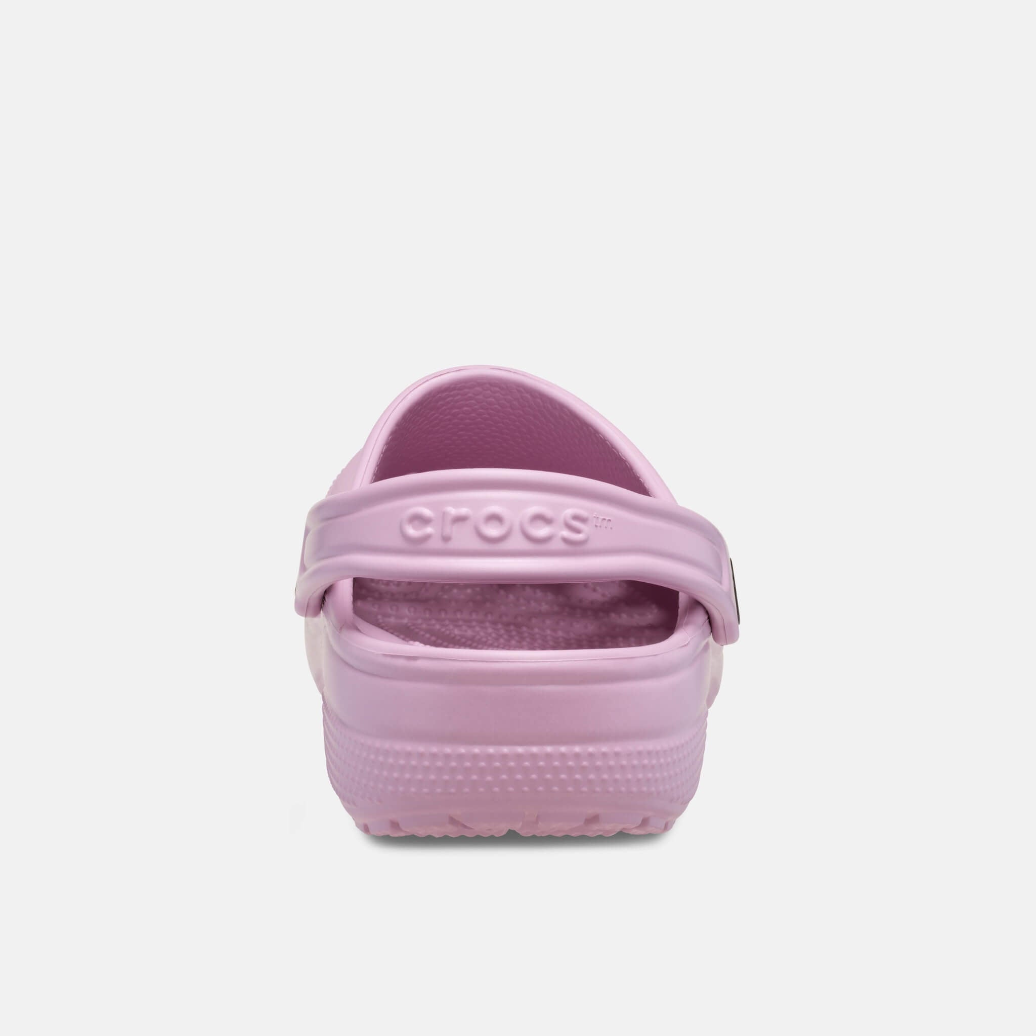 Classic Clog Hydrangea