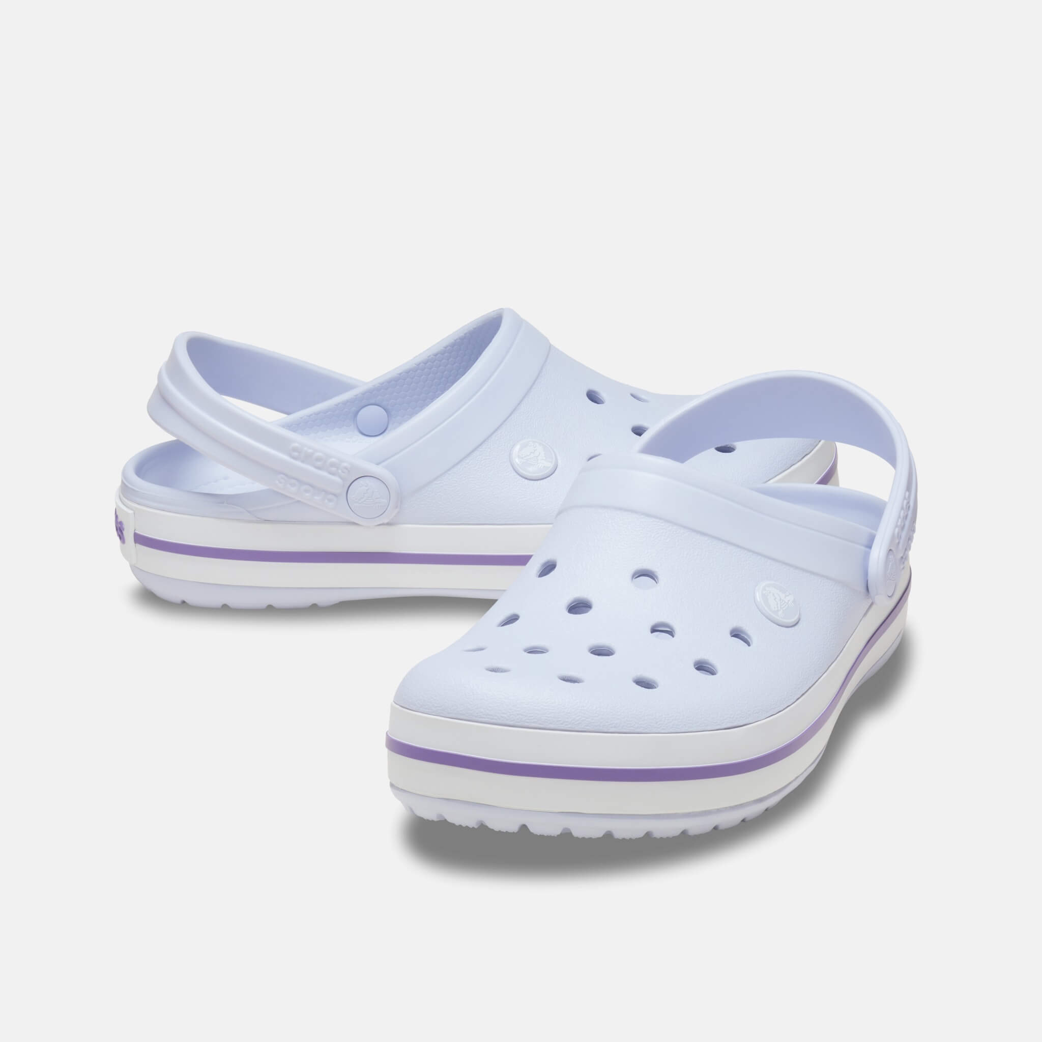 Crocband Dreamscape