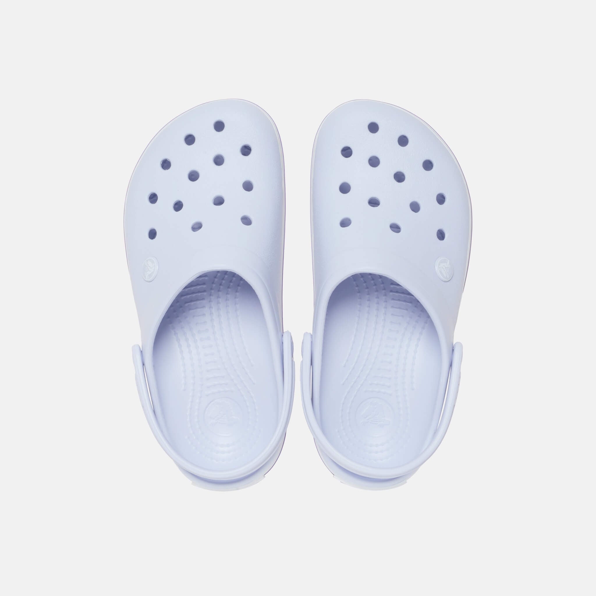 Crocband Dreamscape
