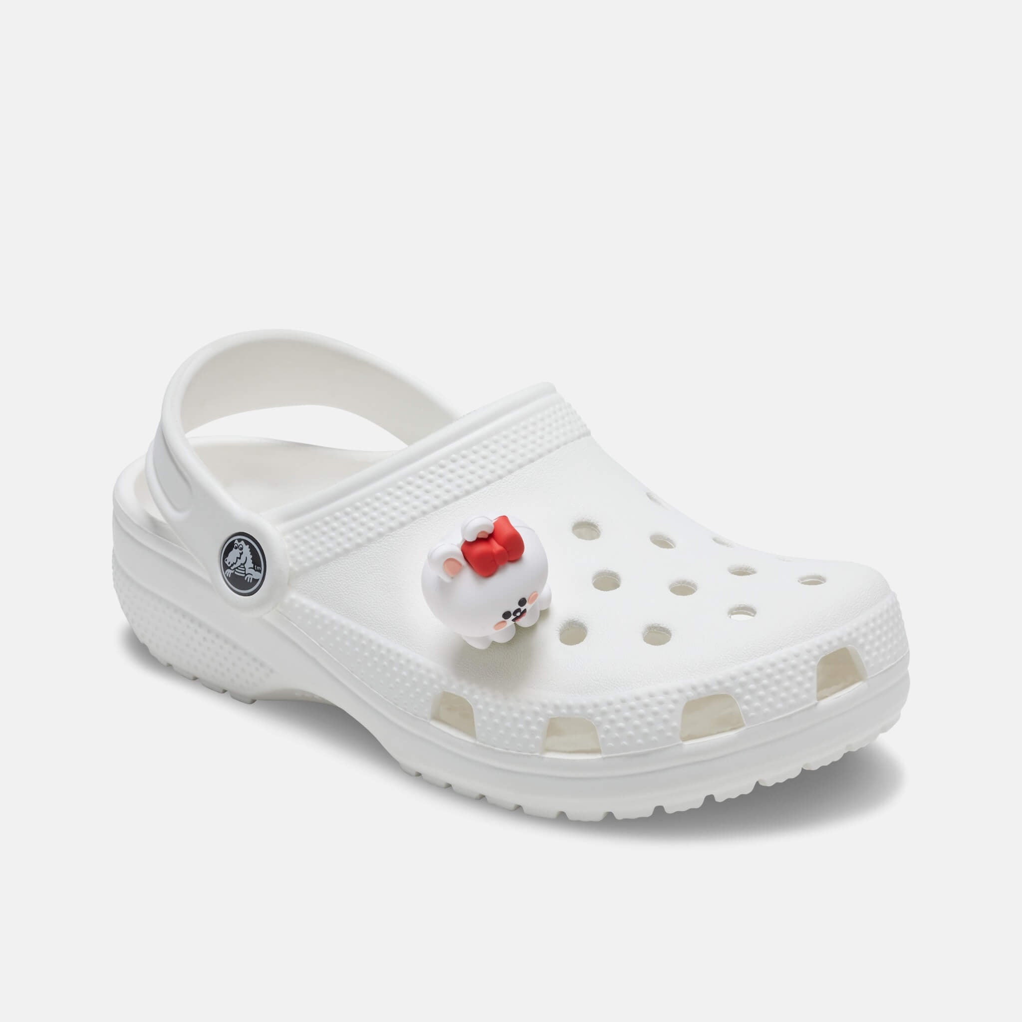 Odznačik Jibbitz – Line Friends 3