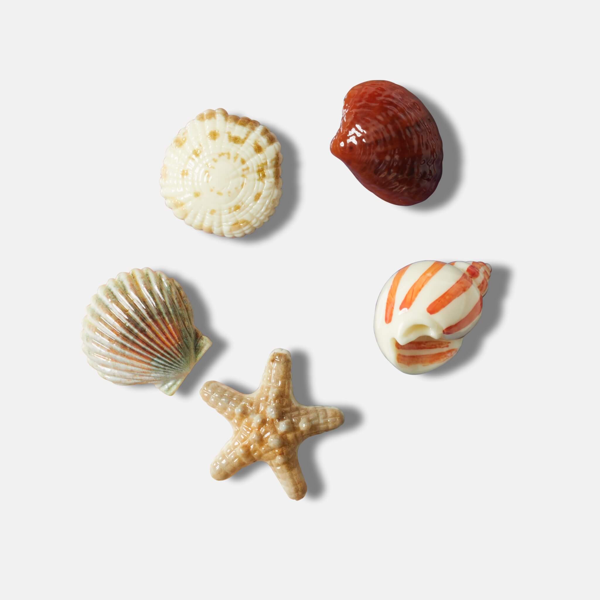 Odznačik Jibbitz – She Sells Seashells 5 ks