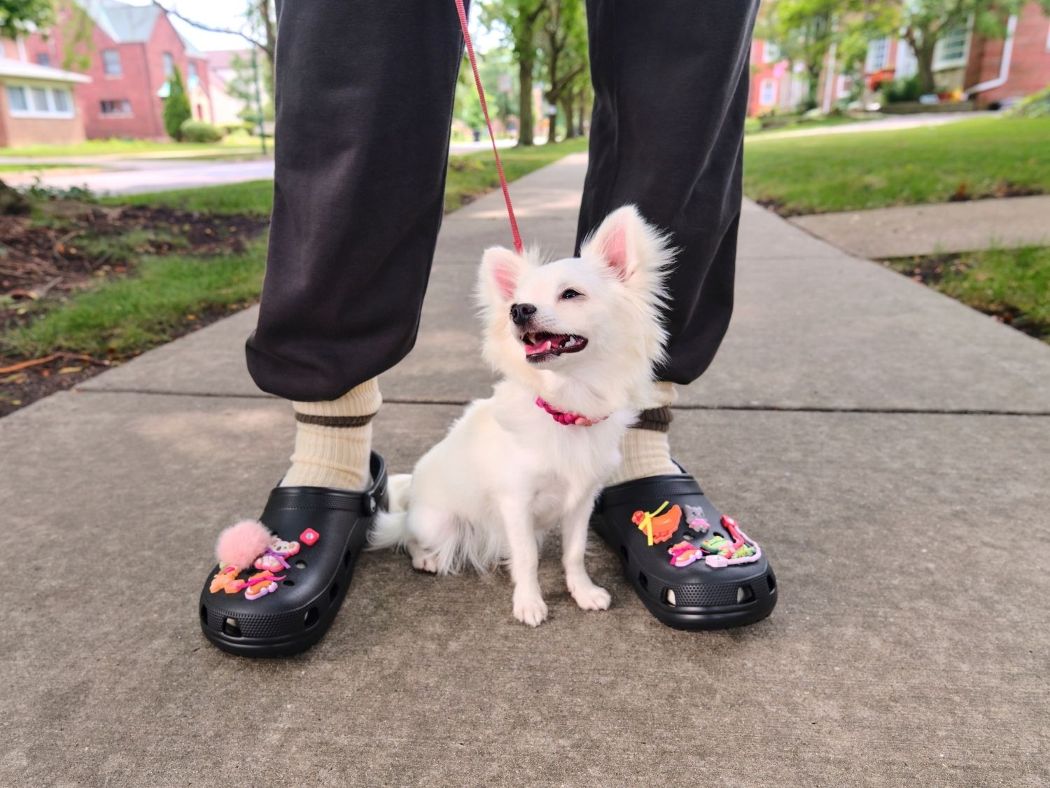 Prečo sú Crocs túto jar absolútne TOP