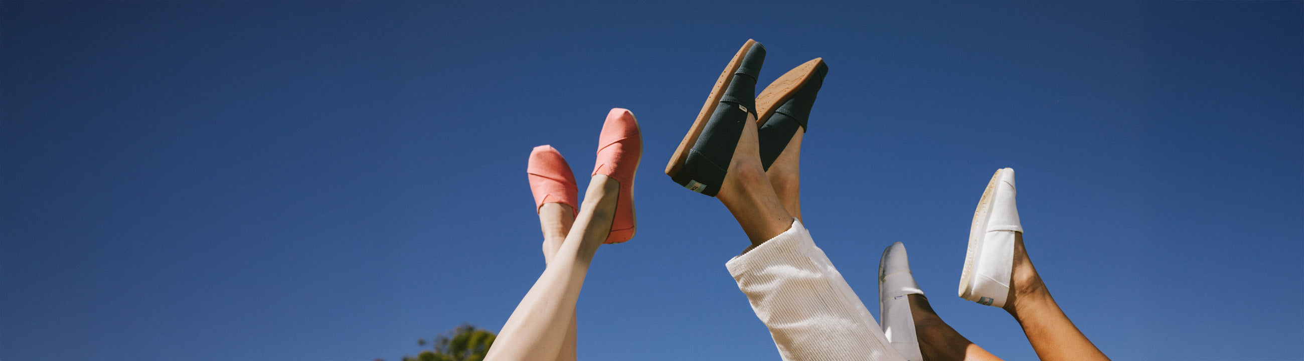 Zľavy Toms
