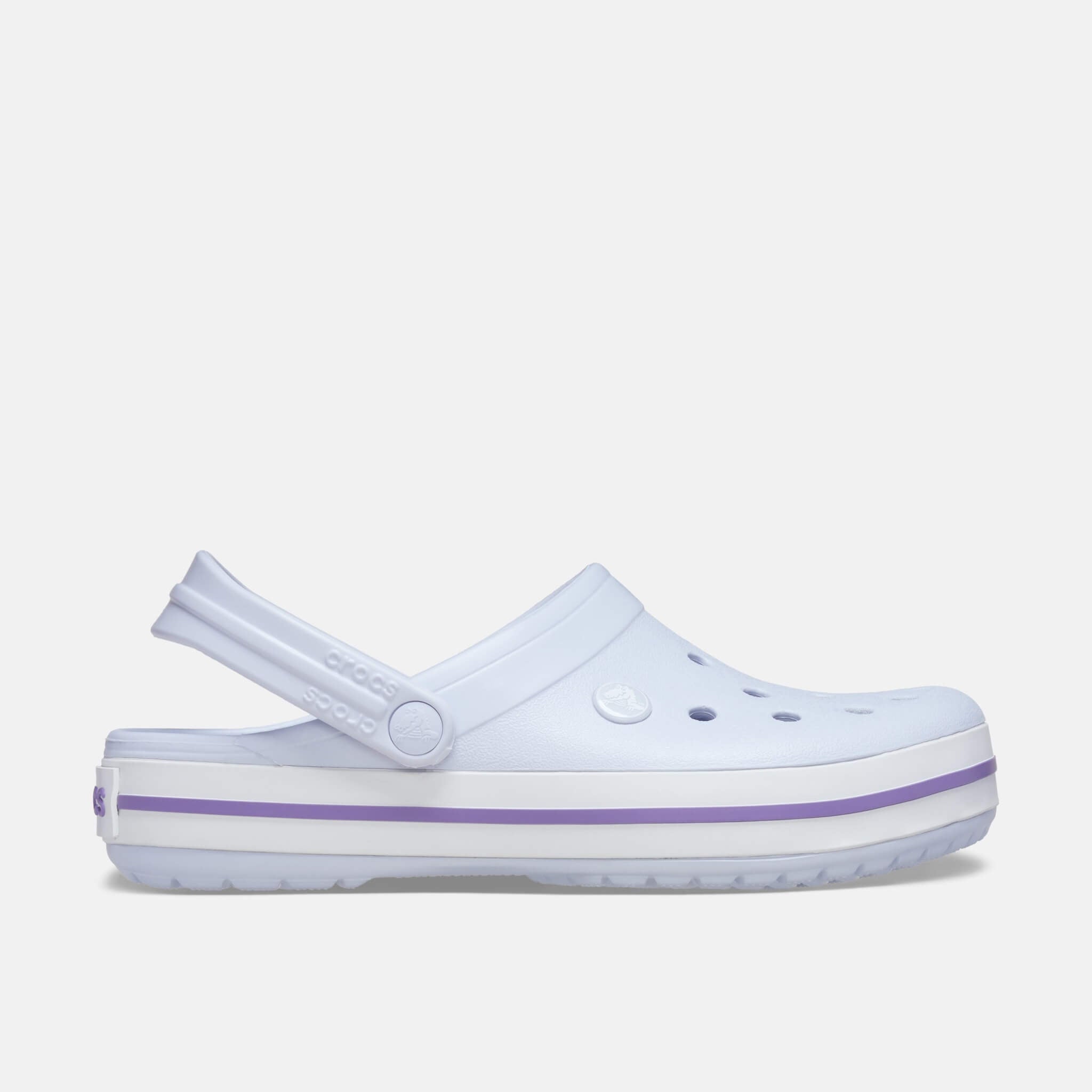 Crocband Dreamscape