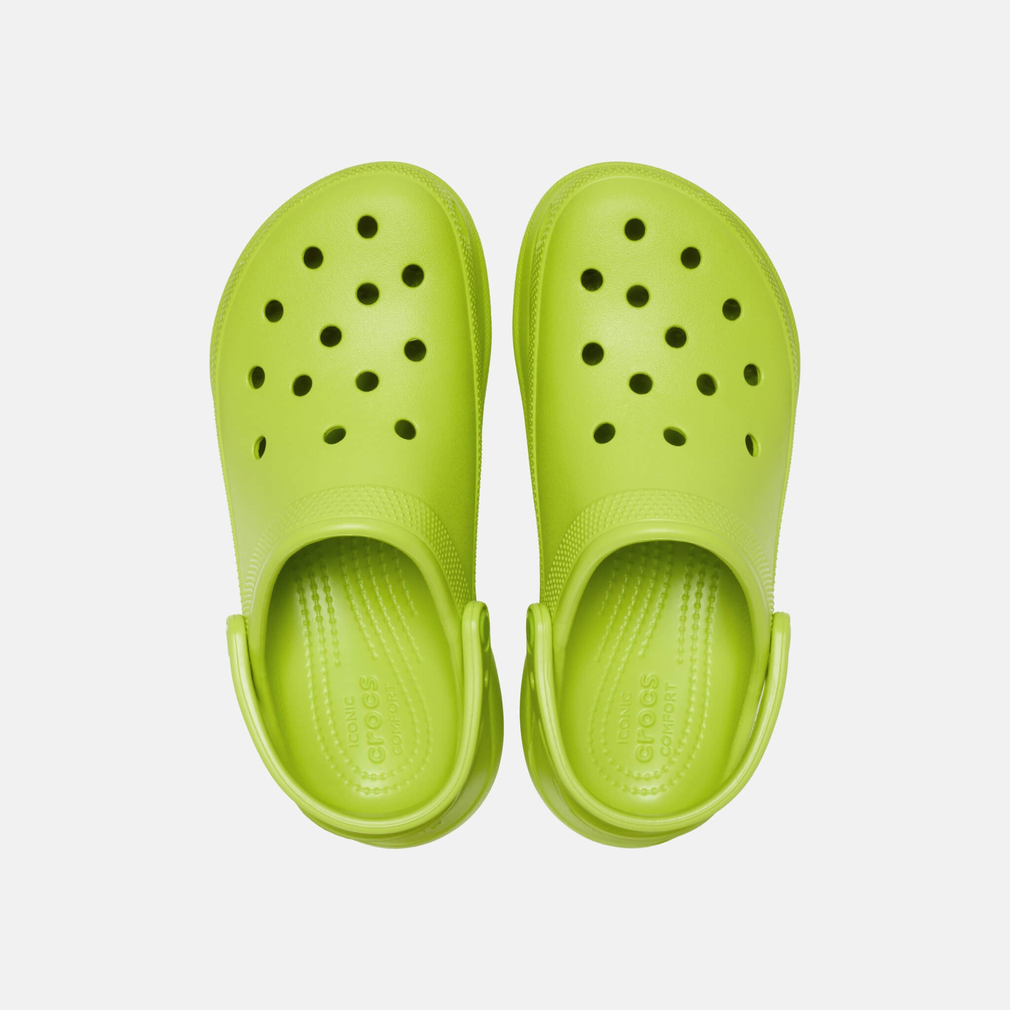 Bae Clog Kiwi